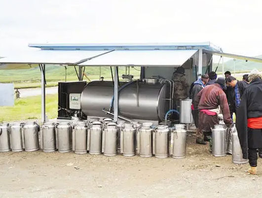 集装箱移动收奶站